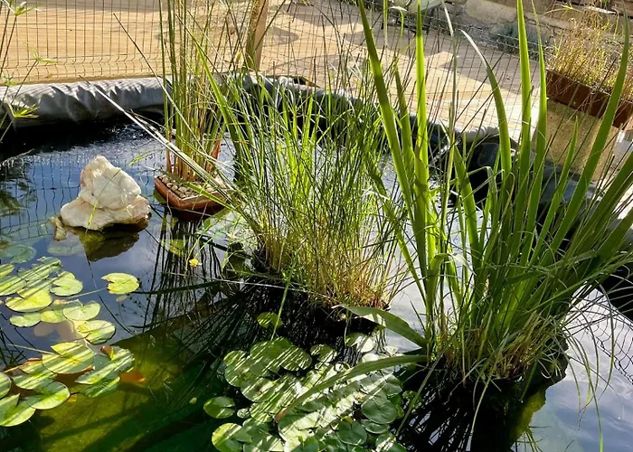 Loveporto2 Balcony/garden@hist.c Appartement *