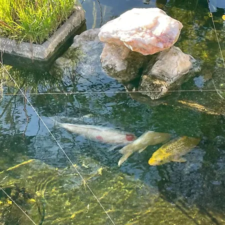 Loveporto2 Balcony/garden@hist.c Appartamento